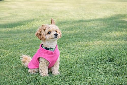 Miniatura 4 de JACKO & CO - Chaleco de forro polar para perro con anillo para correa - Abrigo suave, cálido y ligero para perros, cachorros y gatos pequeños