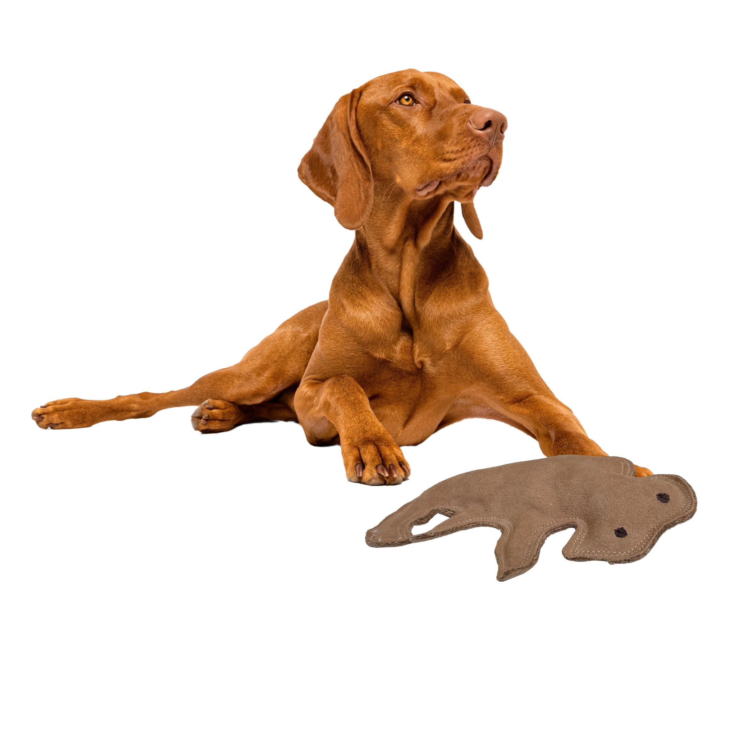 SPOT Dura-Fused Leather Buffalo Dog Toy – Durable Real Leather & Jute Chew Toy with Squeaker, Double-Stitched for Moderate Chewers, Medium & Large