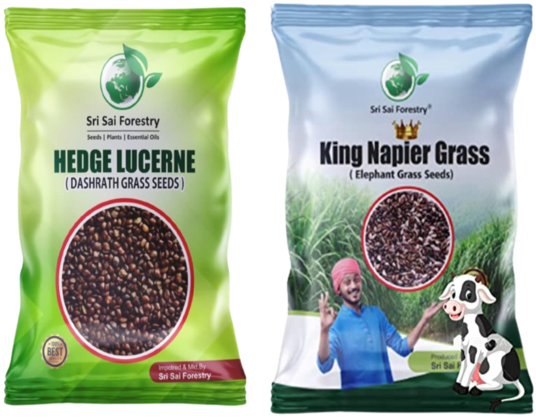 SRI SAI FORESTRY Hedge Lucerene Grass Seeds & King Napier Grass Seeds (Pack of 100g each) MultiCut Grass for Cattle (B0CBHKCR77) Amazon Price History, Amazon Price Tracker