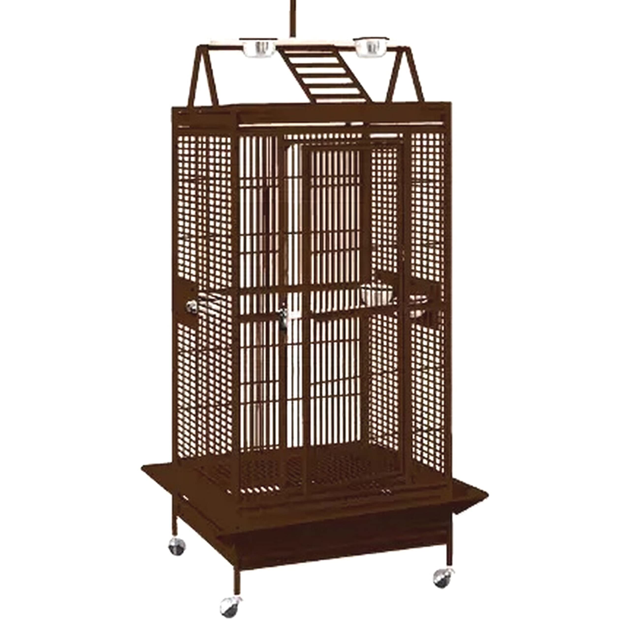 10 Best Small African Grey Parrot Bird Cages for Pet Owners