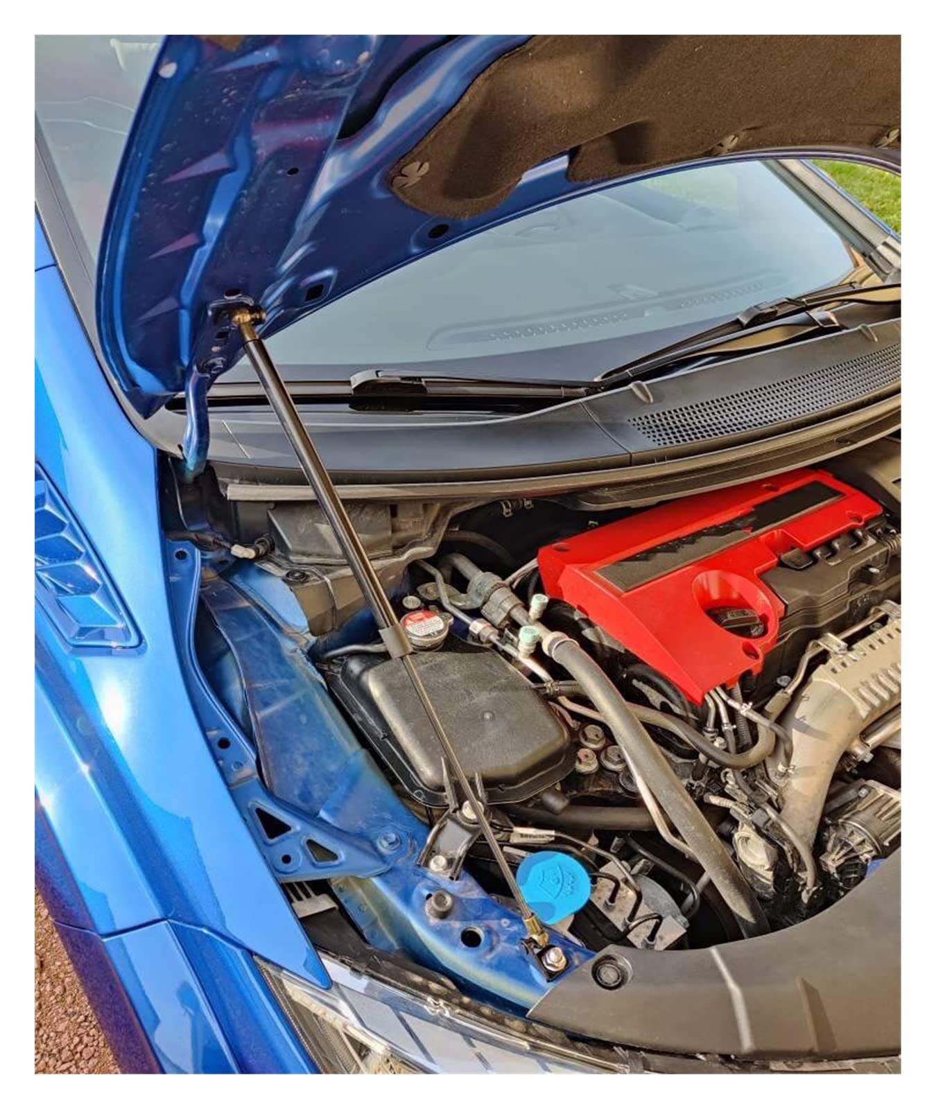 RuiHao Motorhauben-Streben Für Civic Type R FK8 - Hydraulikstangen Set