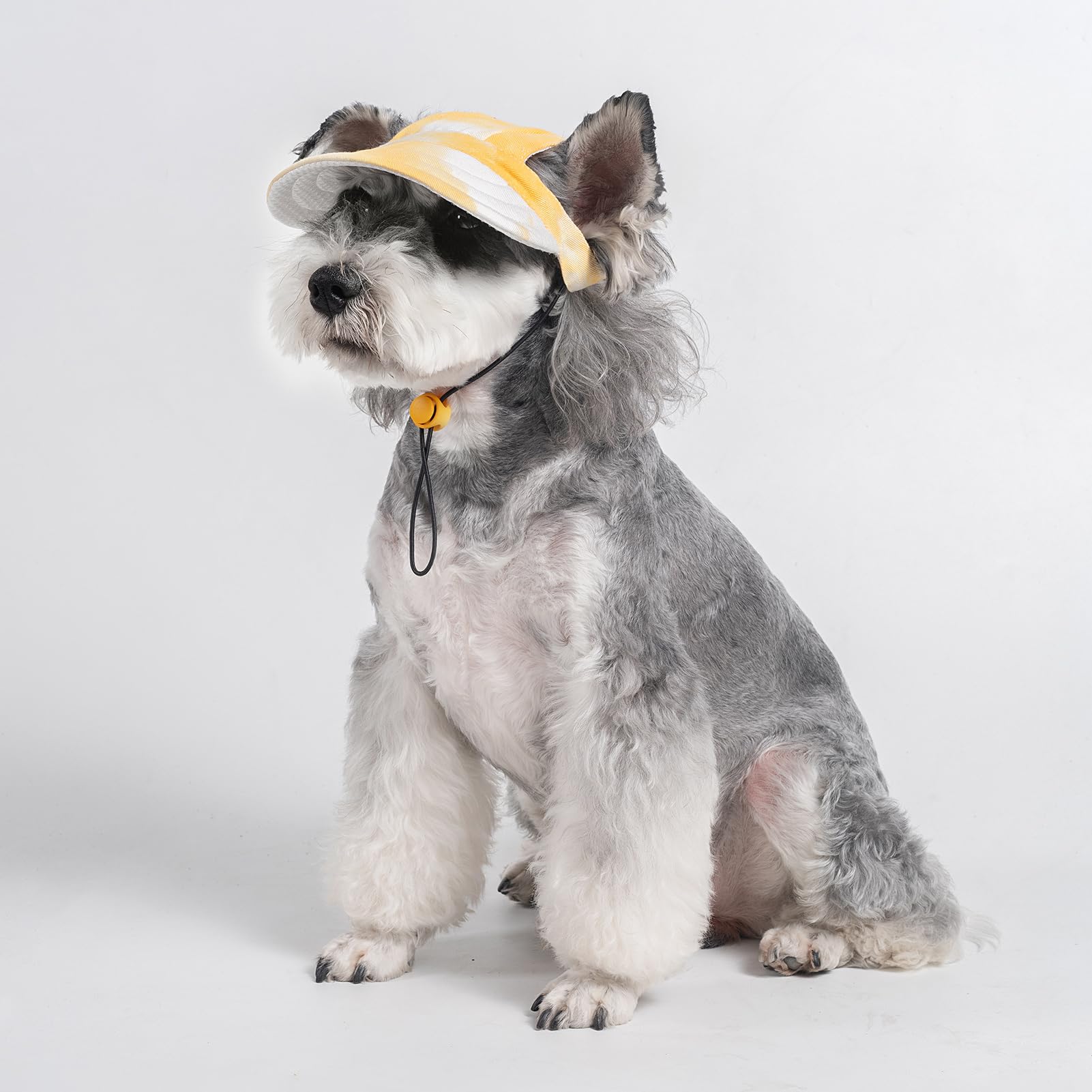 Pet Dog hat, cat hat, Sun hat, Puppy Baseball hat, Outdoor hat Suitable for Small Dogs and Cats (Yellow, Small)