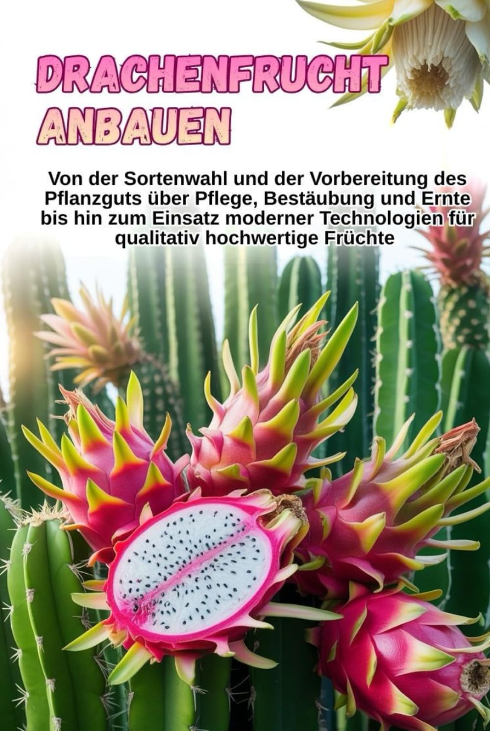 Drachenfrucht anbauen: Eine vollständige Schritt-für-Schritt-Anleitung zum Anbau von Pitahaya: von der Sortenwahl und der Vorbereitung des Pflanzmaterials bis hin zu Pflege, Bestäubung und Ernte