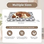 Lit de lit pour petits chiens, 24x16 Tapis en peluche courte de pouce, pad en Kennel mince de 1,6 po, lavable en machine idéal pour 24-Inch Crates de chiens