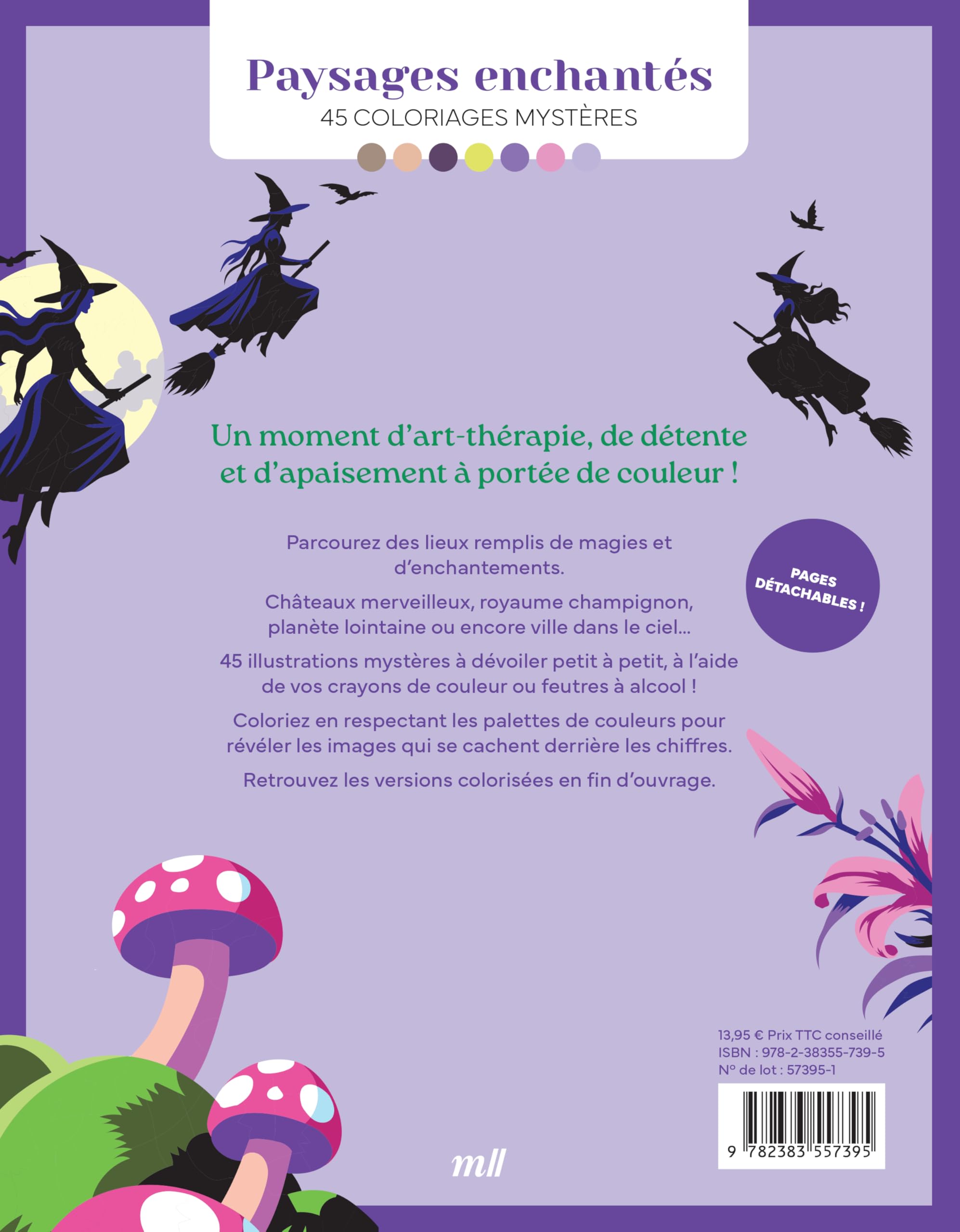 Paysages enchantés: 50 coloriages mystères