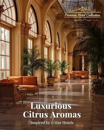 Miniatura 2 de VTS Hotel Collection INT1946 - Mezcla de aceites difusores para hotel, aroma de hotel de notas cítricas para el hogar, INT1946, aceite de fragancia