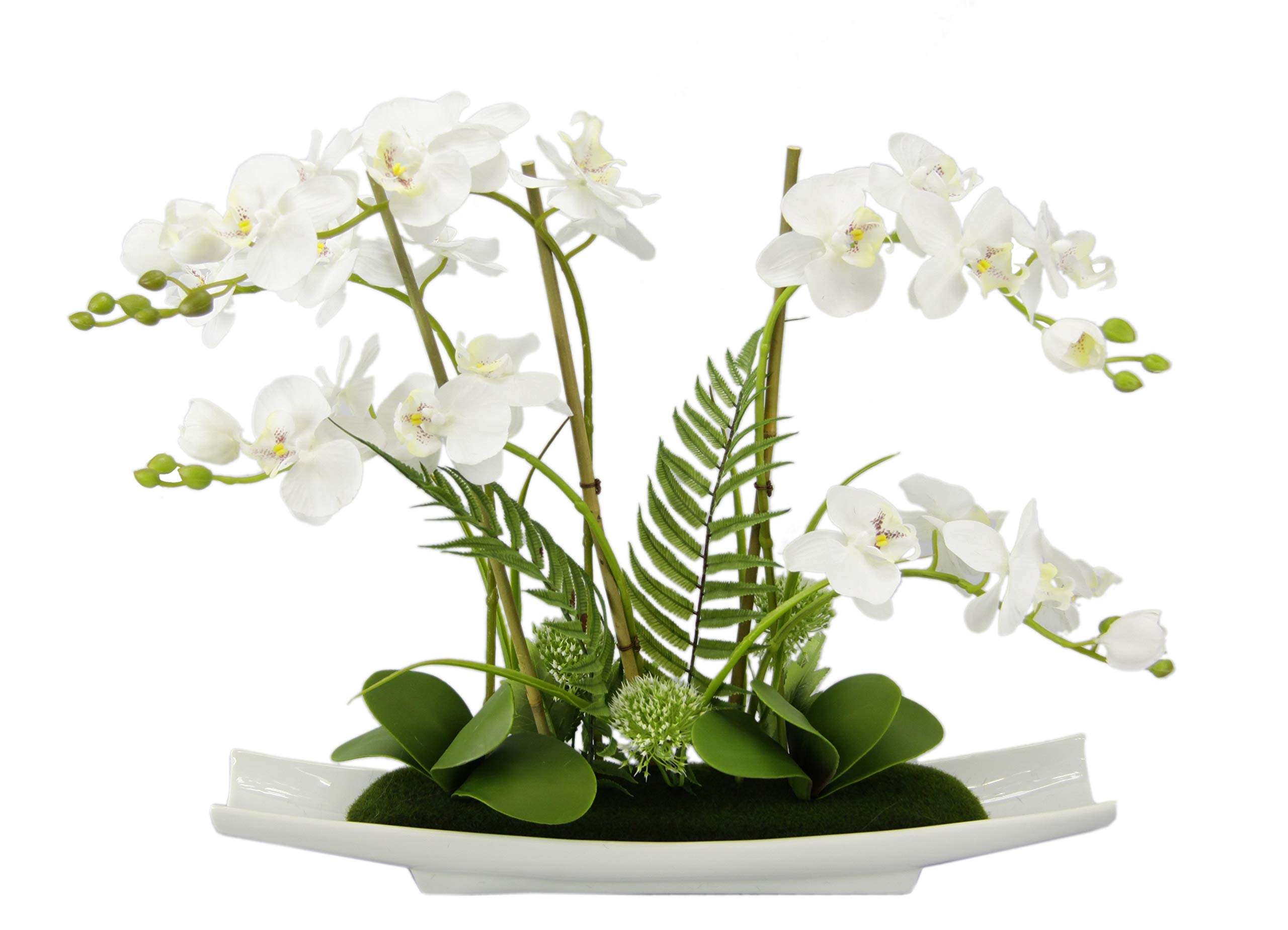 Kunstblume Schmetterling Orchidee 50cm mit Blätter und Luftwurzeln in Schale aus Keramik Künstliche Blume Kunstorchidee Phalaenopsis Kunstpflanze Hochzeit Deko Seidenblume Real Touch Blüte