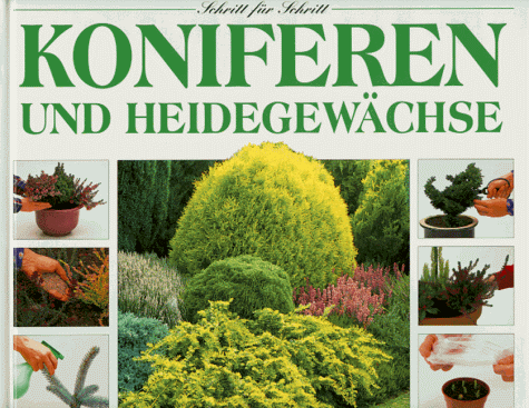 Koniferen und Heidegewächse