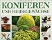 Produktbild Koniferen und Heidegewächse
