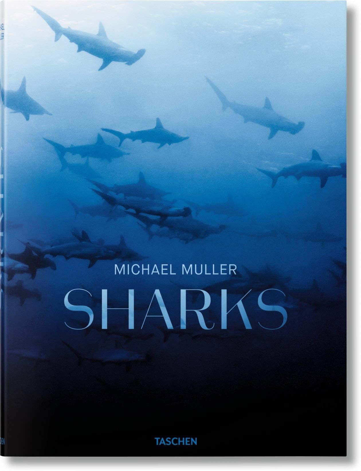 Michael Muller. Sharks