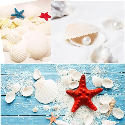 Miniatura 7 de 48 conchas de vieira natural, conchas de vieira blancas de 1.5 a 2 pulgadas, conchas pequeñas para manualidades, decoración de boda, fiesta temática