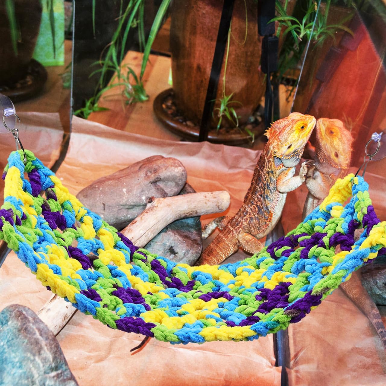 Silk Cotton Reptile Hammock Hanging Bed for Bearded Dragon Lizard Gecko with Strong Adhesive Hooks Space-Saving Climbing Pet Nest
