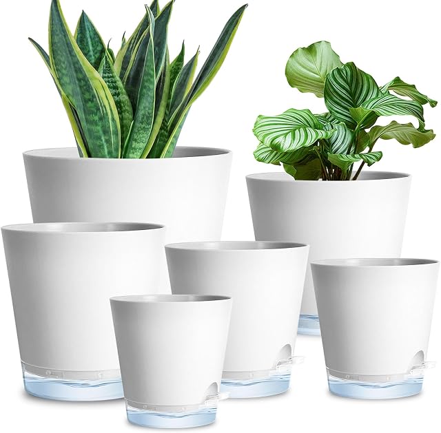 6 Pots de plantes avec réservoir transparent 7/6.5/6/5.5/5/4 pouce Planteurs auto-arroseurs pour les plantes intérieures Niveau d'eau visible Pots à fleurs Rope et trous de drainage pour jardin d'habitation (blanc)