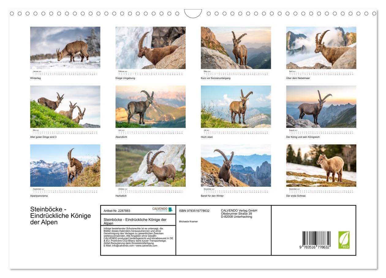 Steinböcke - Eindrückliche Könige der Alpen (Wandkalender 2027 DIN A3 quer), CALVENDO Monatskalender: Stolze Steinböcke in den Schweizer Alpen (CALVENDO Tiere)