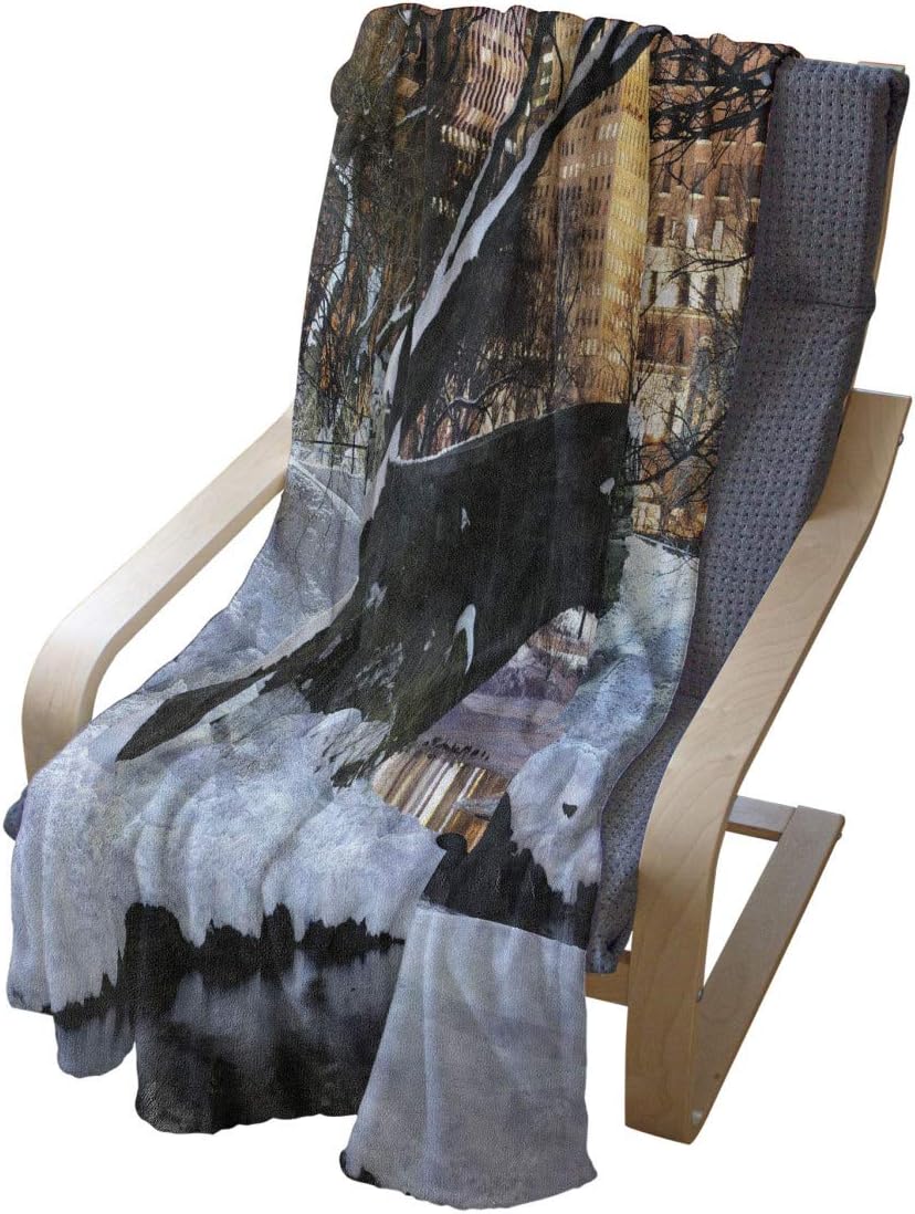 Lunarable NYC Throw Blanket, New York City Manhattan Central Park Panorama in Winter Bridge Freezing Lake at Dusk, Flannel Fleece Accent Piece Soft Couch Cover for Adults, 50" x 70", Black White 50" x 70" for Adults Black White