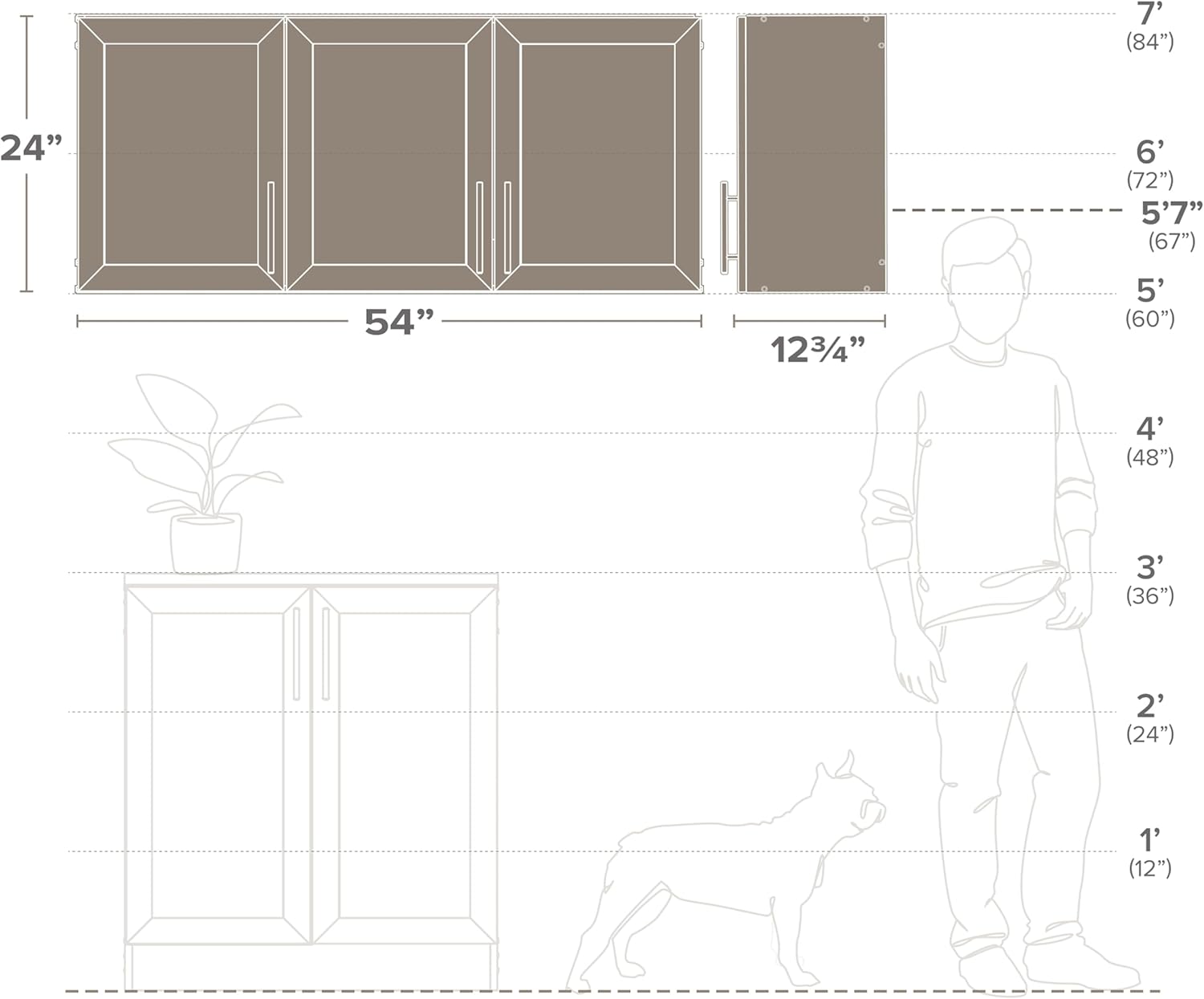 Scale diagram illustrating the cabinet's dimensions in relation to an average adult and a dog.
