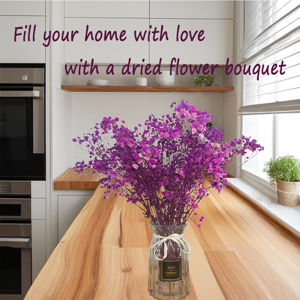 TooGet Fiori secchi naturali Babys Breath Bouquet Rami di Gypsophila per la decorazione della casa, matrimonio, decorazione della tavola, corona floreale fai da te, fiori secchi sfusi per vaso