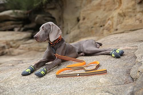 Miniatura 4 de TRUE LOVE Correa reflectante para perro Truelove TLL2111 (naranja, S)