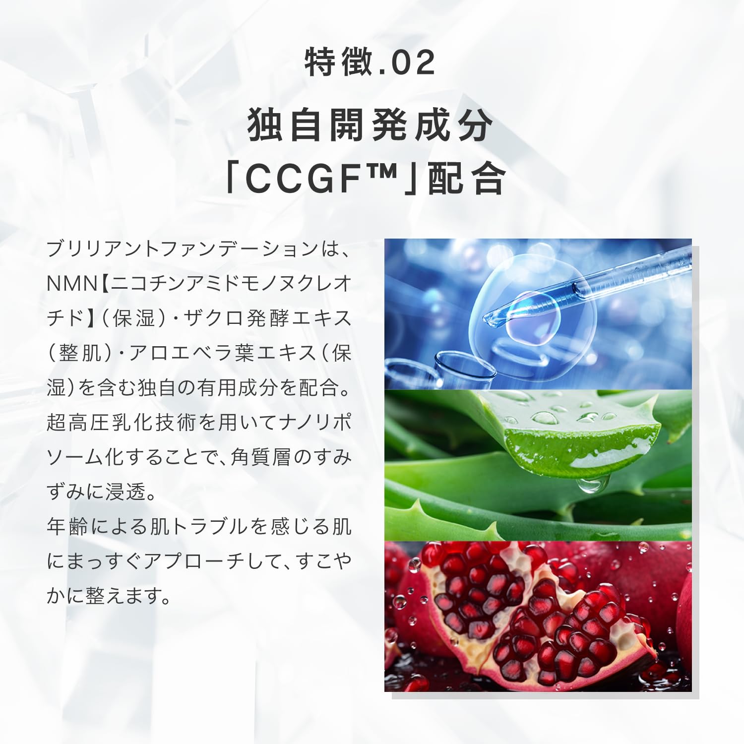 Amazon | SPICARE スピケア V3 ブリリアントファンデーション ベージュ  