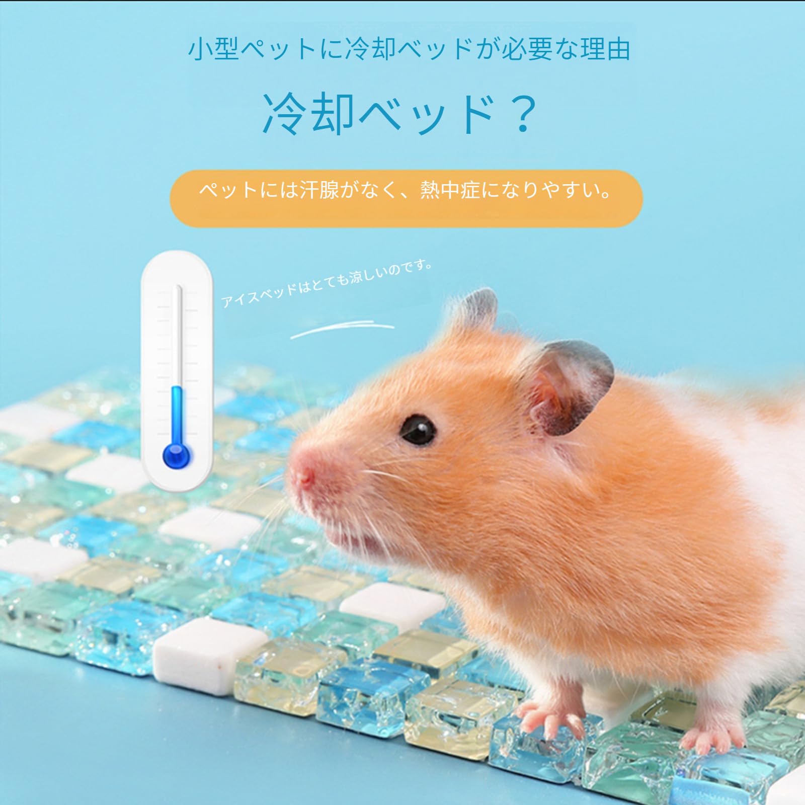 Amazon | ハムスター用ひんやりプレート 2枚 ひんやりマット