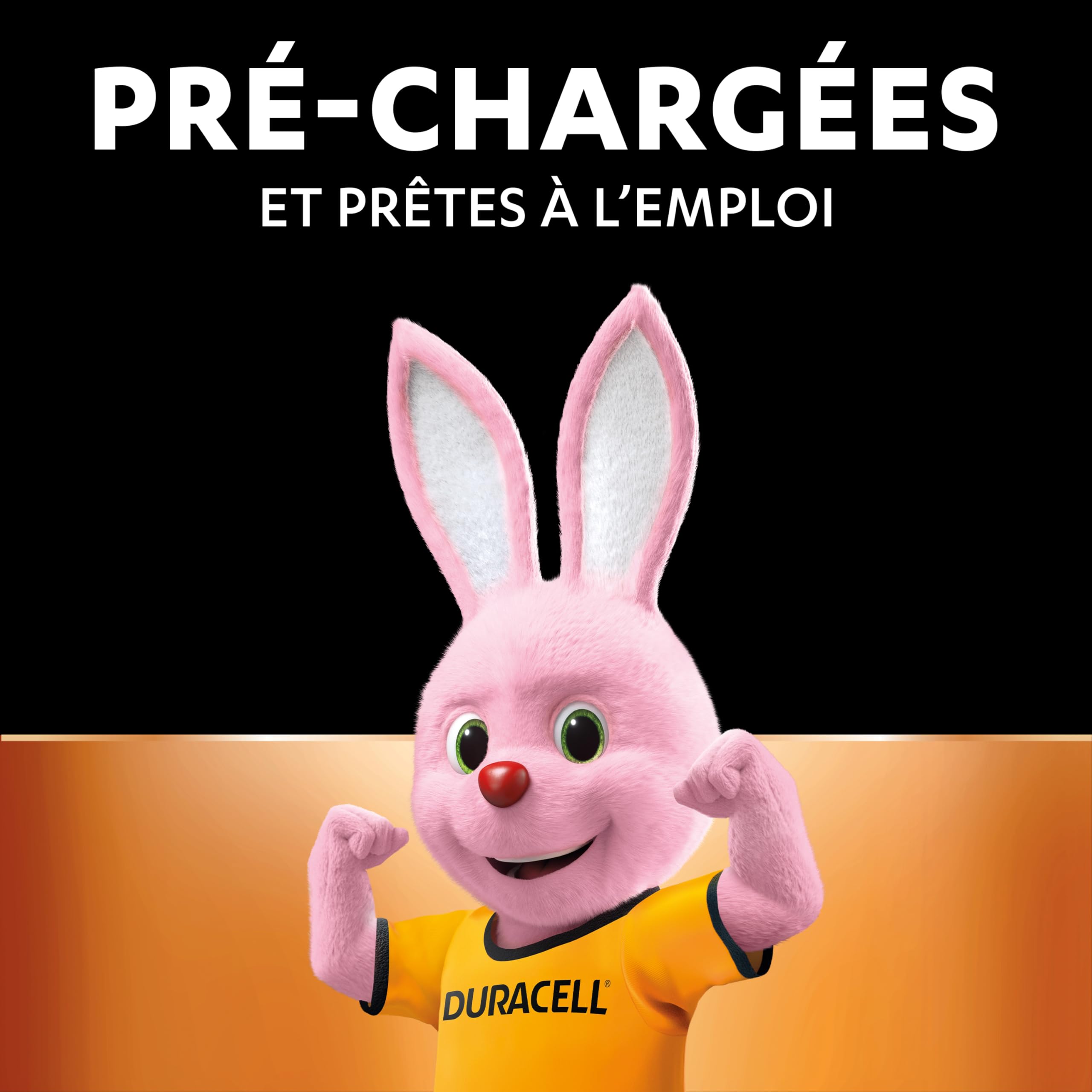 Duracell Piles AAA Rechargeables 750 mAh NiMH Lot de 4 1000 Recharges Pré-chargées