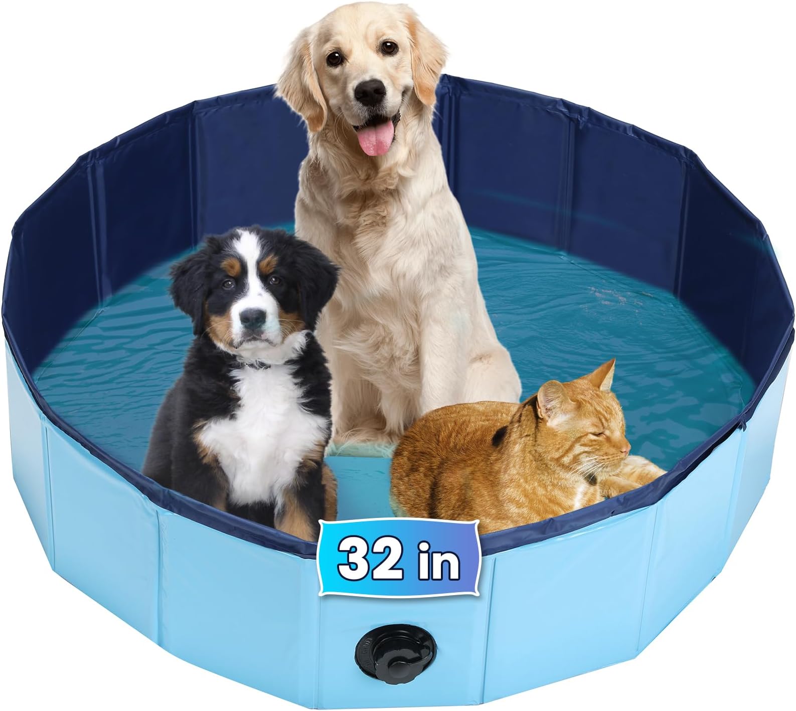 AMGSH Dog Whelping Box, Foldable Birthing Pool for Dogs, Whelping Pool for Puppies, Poartable Plastic Swimming Pool & Bath Tub for Dogs, Blue (Blue, 31.5” Dia. × 7.9” H (80cm × 20cm))