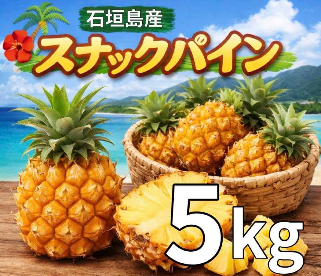 Amazon.co.jp: み 石垣島のスナックパイン（サイズ 個数おまかせ）5kg