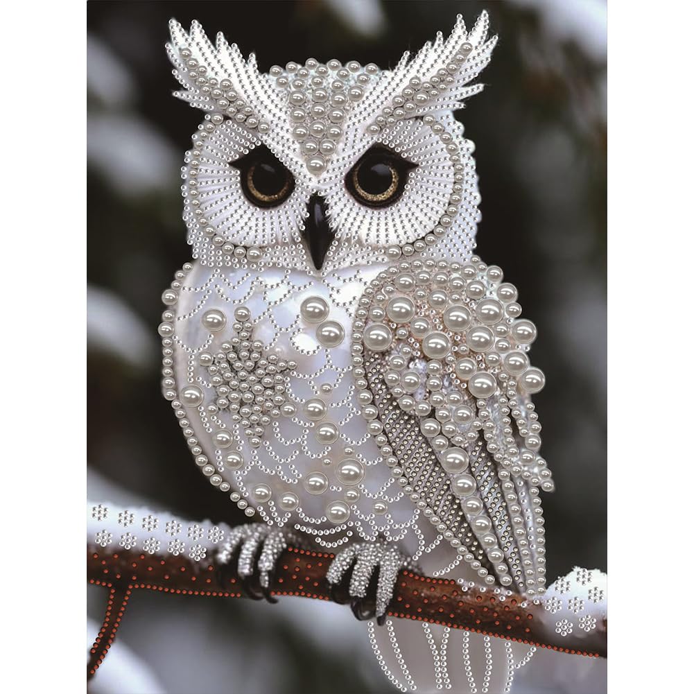Pearl Owl on Branch Special Shaped 5D DIY Partial Drill Diamond Painting Kit Home Art 30x40cm