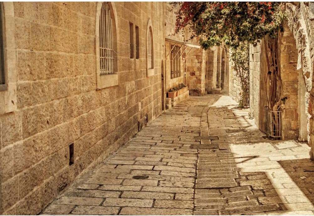 CSFOTO 5x3ft Jerusalem Old Narrow Street Backdrop Old Jerusalem Stone Background Spring Flowers Sunshine Cave Background for Photography Ancient Stone Wall Backdrop