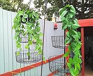 Review Image by KCollins KCollins