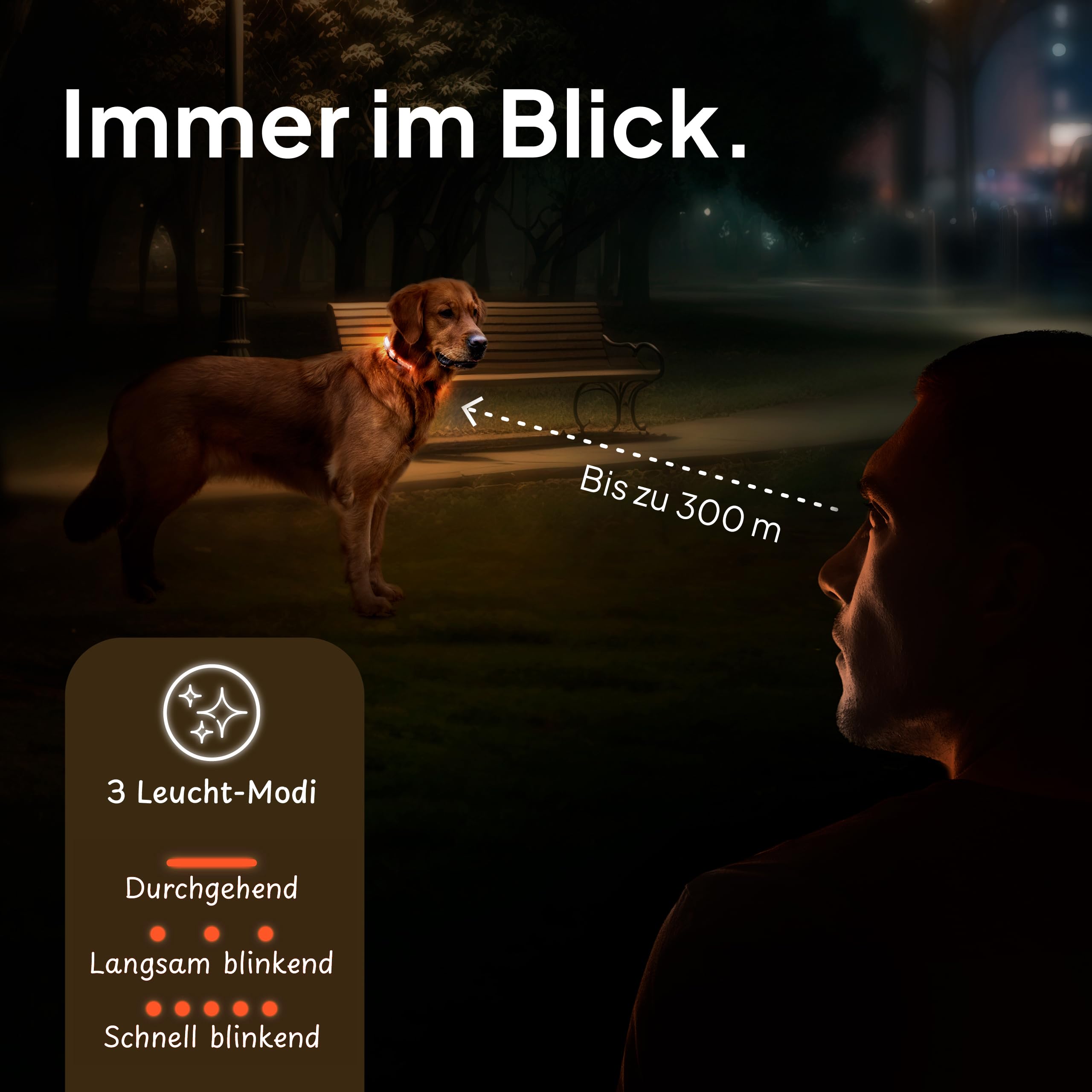 Tierhood Luminous Dog Collar, Luminous Collar for Small and Large Dogs, LED Dog Collar Rechargeable, Durable - Image 4