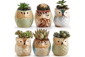 Enigmatic Owl Ceramic Planters: A Symphony of Beauty and Functionality