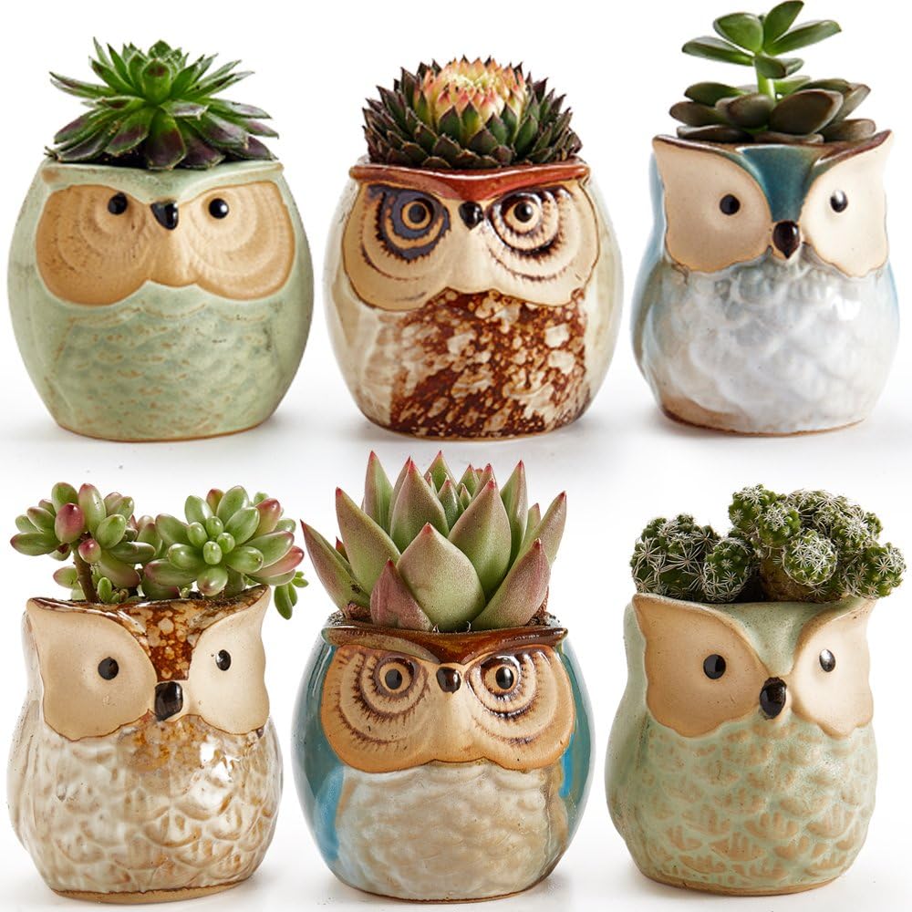 SUN-E 2.5 Inch Owl Pot Ceramic Flowing Glaze Base Serial Set Succulent Plant Pot Cactus Plant Pot Flower Pot Container Planter Bonsai Pots With A Hole Perfect Gife Idea 6 In Set
