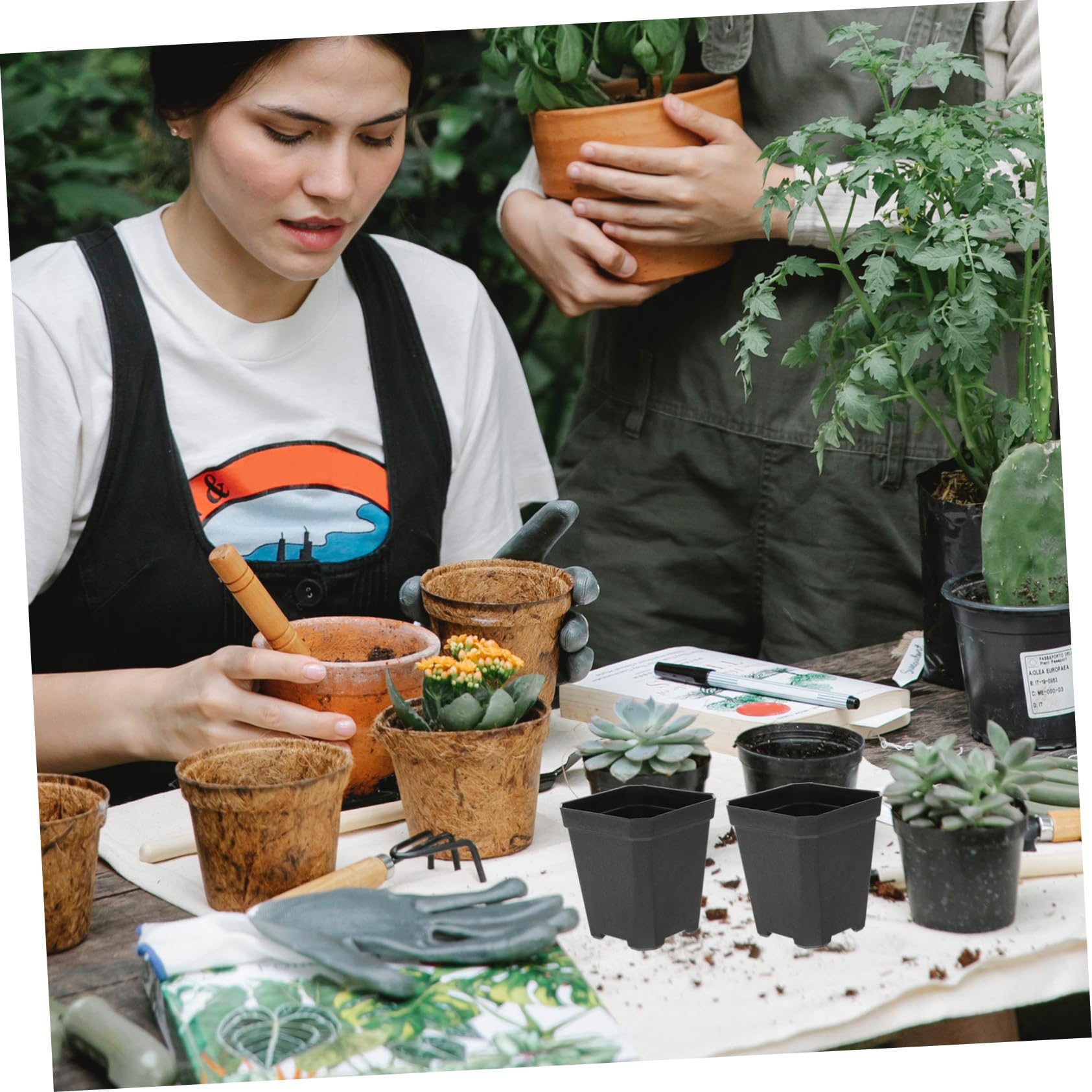 BESPORTBLE 4 Ensembles Pot De Semis Carré Pouvez Plantes Usine Terre Cuite Jardinage Pépinière Pot Clair Pots Succulents Pot De Jardin Pot De Fleur Pots De Fleurs PP Black 20 Pièces * 4