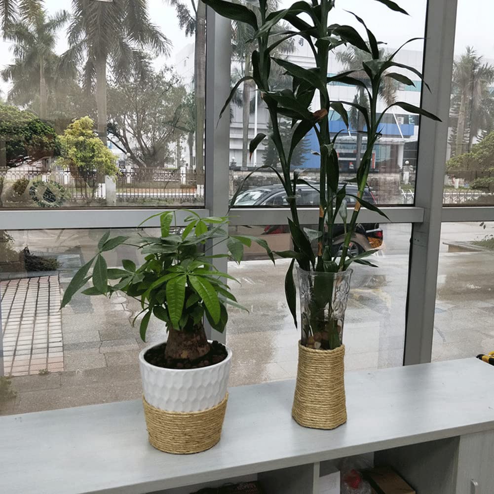 View 7