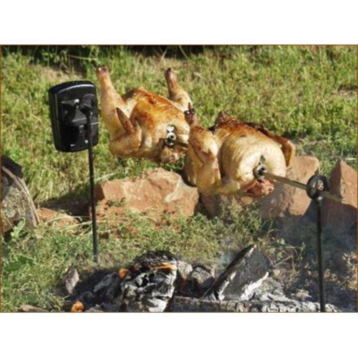 Buy BestUSA Rotisserie Rotating Cordless and Dual Post Open Fire Spit