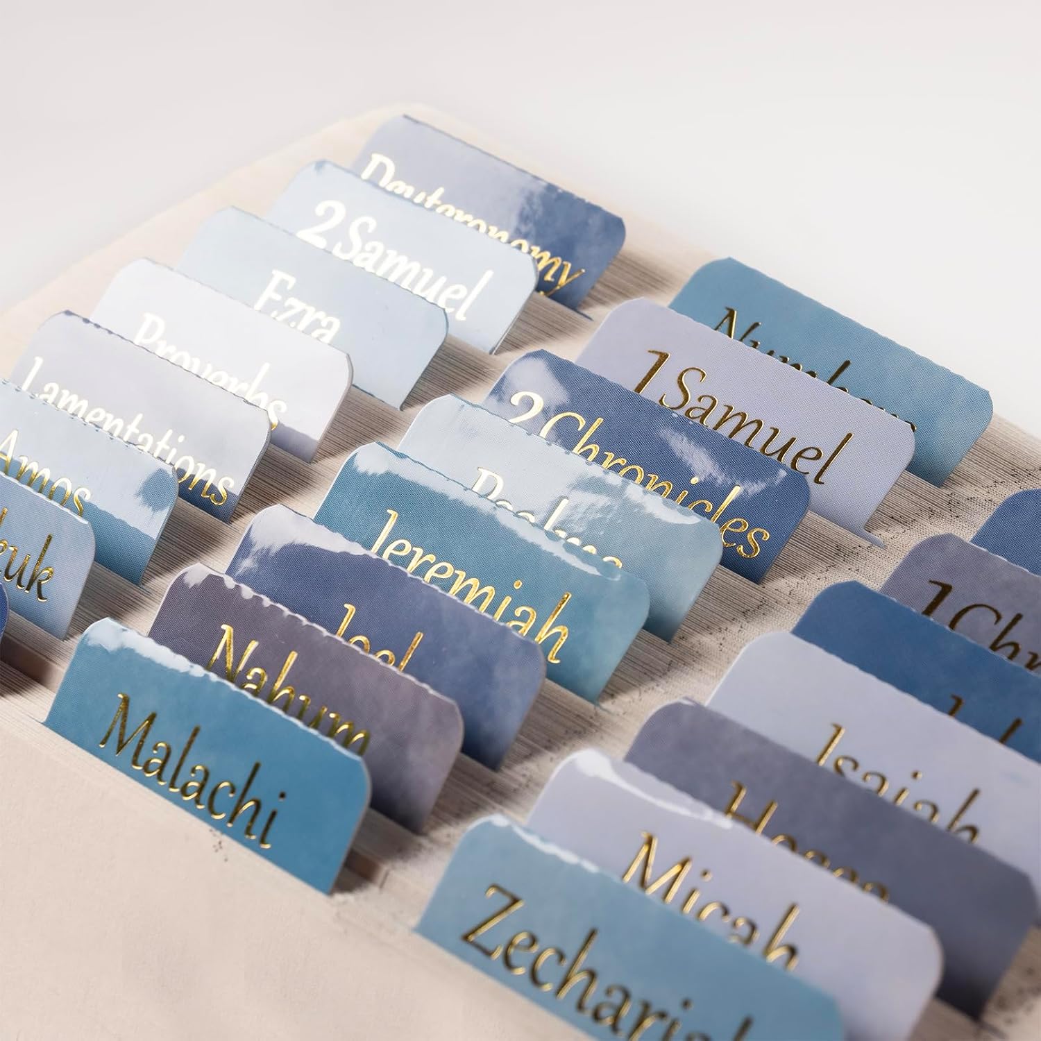  Laminated Bible Tabs, Gold Foil Large Print Bible Study Journaling Supplies, Christian Gift for Women and Men, Index Tabs for Old and New Testament, She Reads Truth Bible (Watercolor Blue) thumbnail