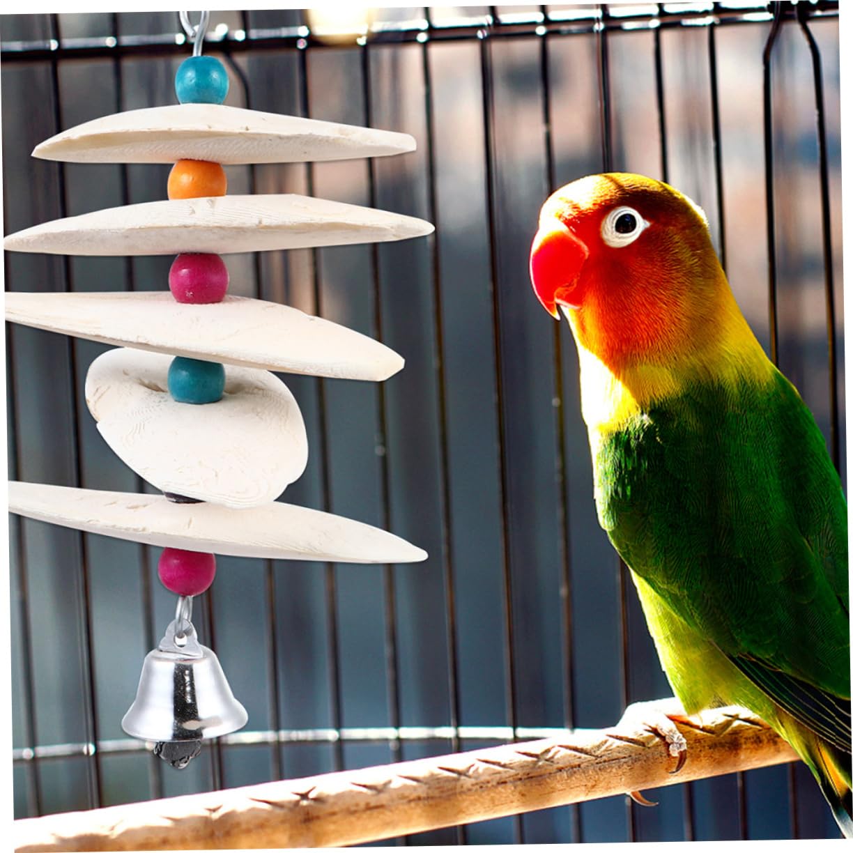 POPETPOP 6pièces Jouets à Mordre De Seiche pour Oiseaux Accessoires De Formation Molarité pour Perruches Et Petits Animaux Couleur Aléatoire