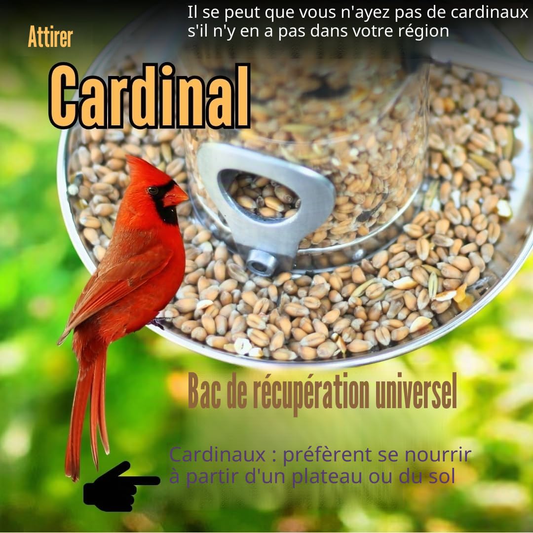 PROVIDE Grande Mangeoire à Oiseaux en Acier Inoxydable Avec Plateau - Pour Graines et Oiseaux Sauvages de Jardin - en Métal
