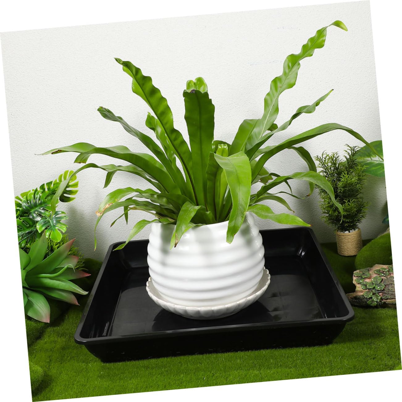 6pcs Enhanced Durability Flower Pot Trays Square Plant Water Catcher Bonsai Planter Saucer