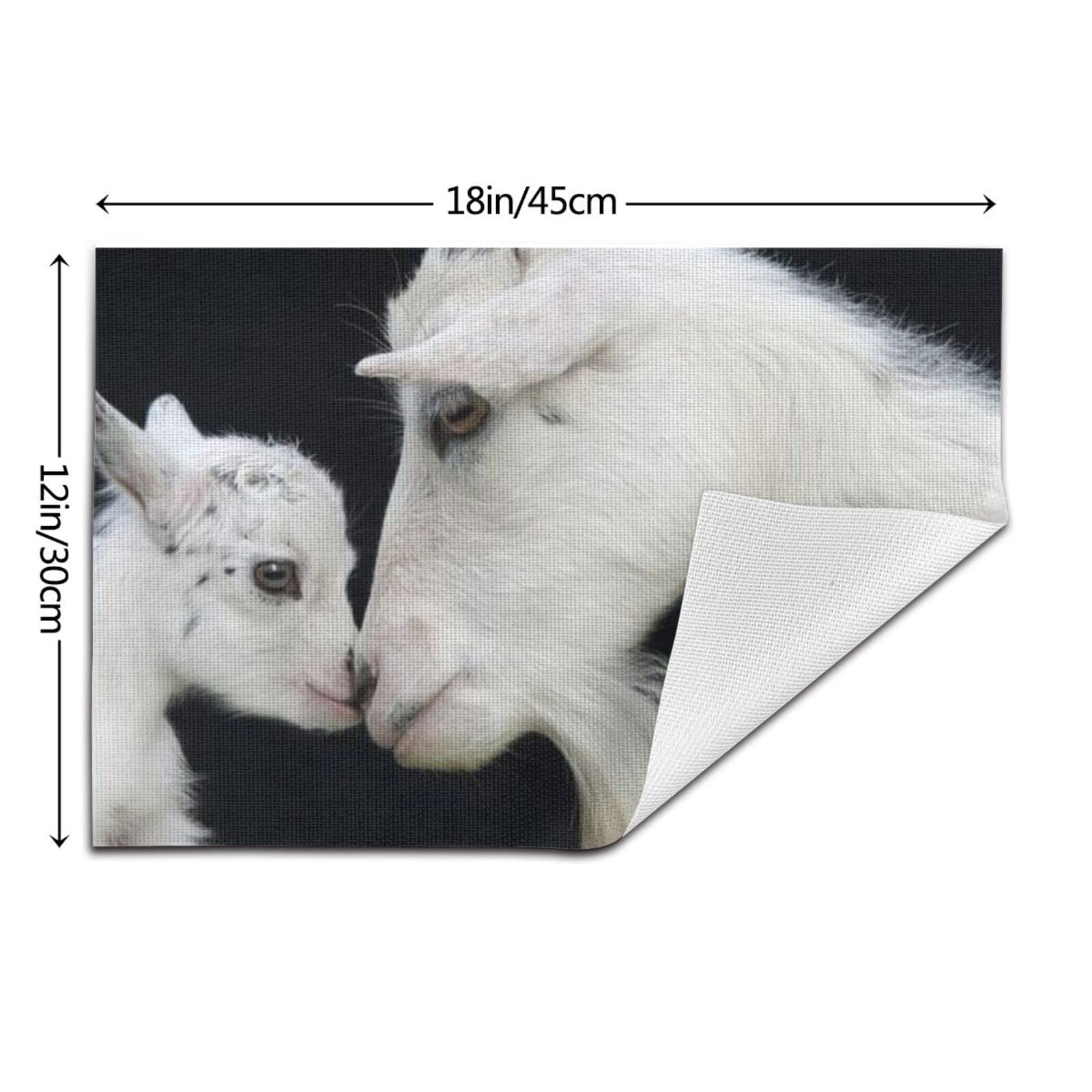 Lot de 6 sets de table tissés en vinyle isolé Motif bébé de chèvre avec mère 30,5 x 45,7 cm