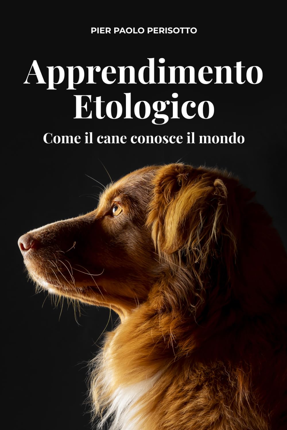 Apprendimento Etologico. Come il cane apprende il mondo