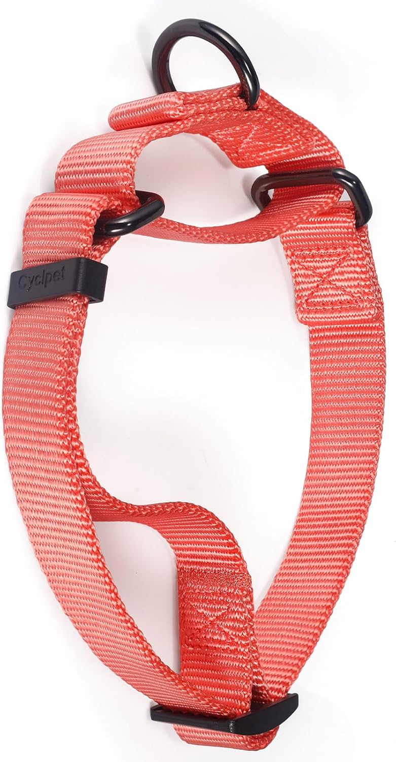 Premium Nylon Adjustable Anti-Escape Martingale Dog Collar,Soft,Silky Dog Collar with Heavy Duty Metal Hardware for Active Dogs Walking,Training. (Living Coral, Small) image 4