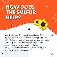 Vista 3 de Mite-B-Gone Loción de tratamiento de 4 onzas Loción de azufre natural Max-Strength para ácaros humanos de acción rápida, mordedura de insectos
