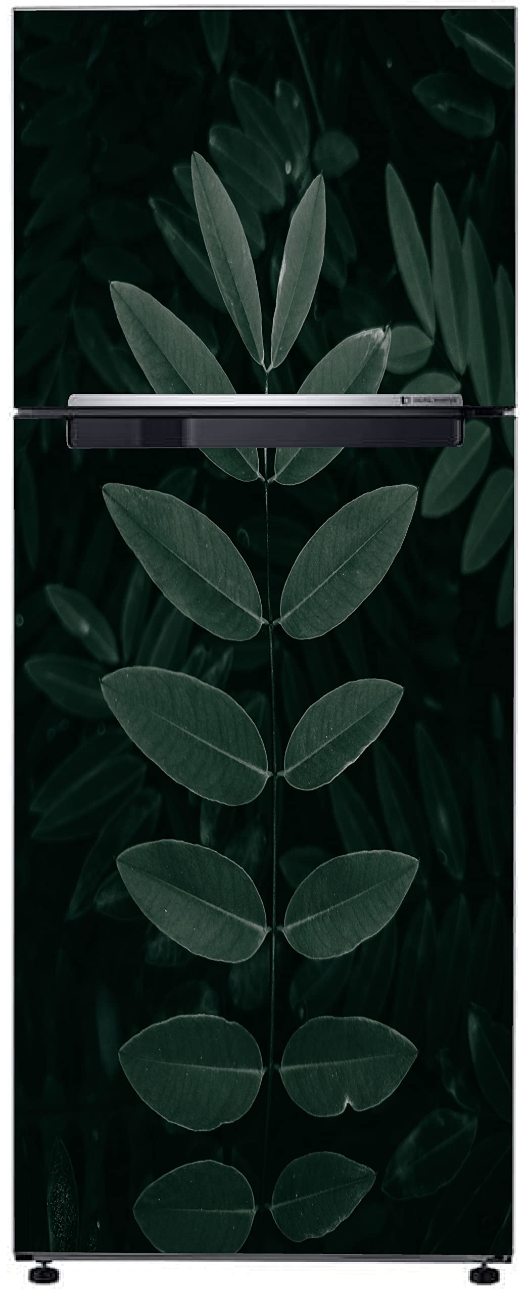 Byteon Decorative Green Leaves with Dark Backgraound Exta Large Sticker for Fridge D�cor FD510