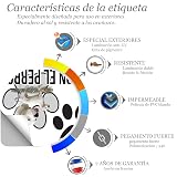 Ver la foto 4