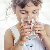 Vista 2 de Waterdrop Jarra de filtro de agua de larga duración de 200 galones, purificador de agua certificado NSF, reemplaza 6,400 botellas de agua