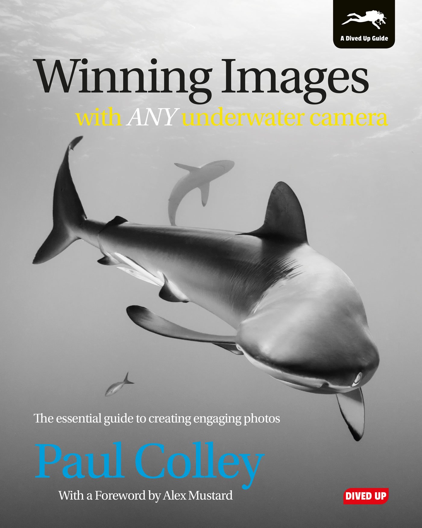 Guide photo sous-marine : techniques de photographie pour appareil photo subaquatique