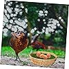 Product Photo 7