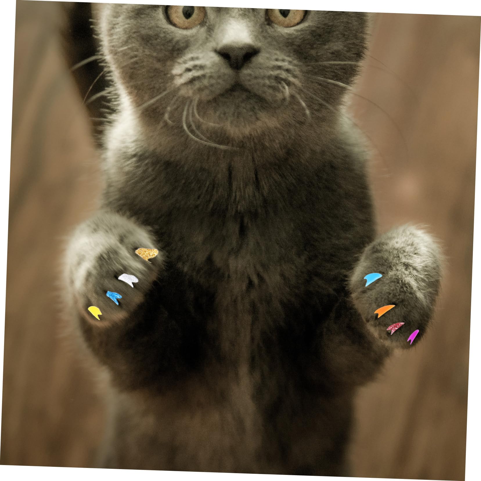 BESPORTBLE 320 Pièces Ensemble d'ongles pour Animaux de Compagnie Couvre-Ongles pour Chat protège-Ongles en Vinyle pour Chats Capsules Ongles Animal de Compagnie Casquette Griffe de Chat